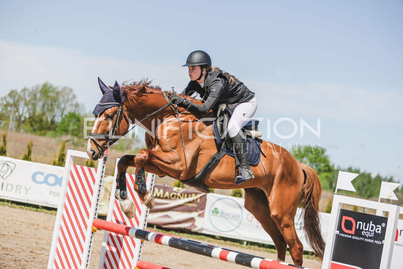 Gramina_Kevad_2026_90_667