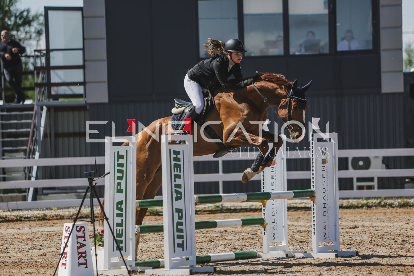 Gramina_Kevad_2026_90_669