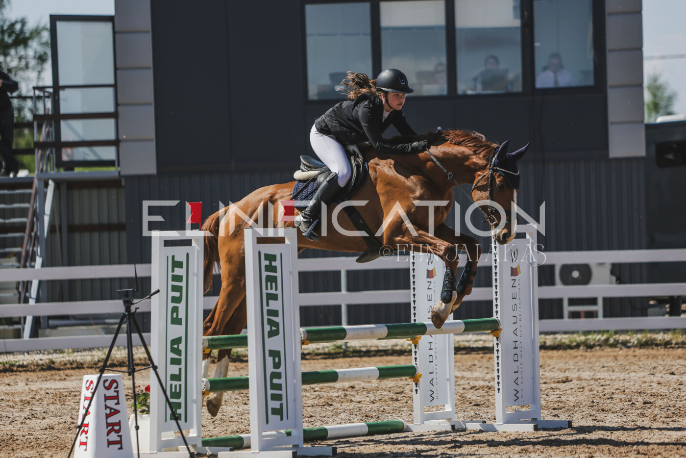 Gramina_Kevad_2026_90_670