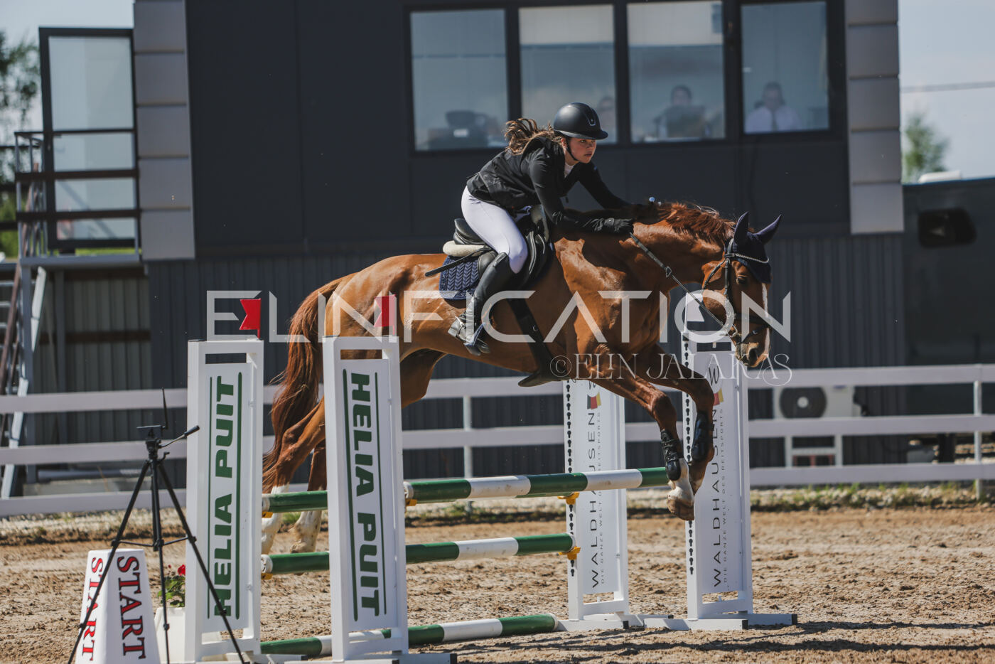 Gramina_Kevad_2026_90_671
