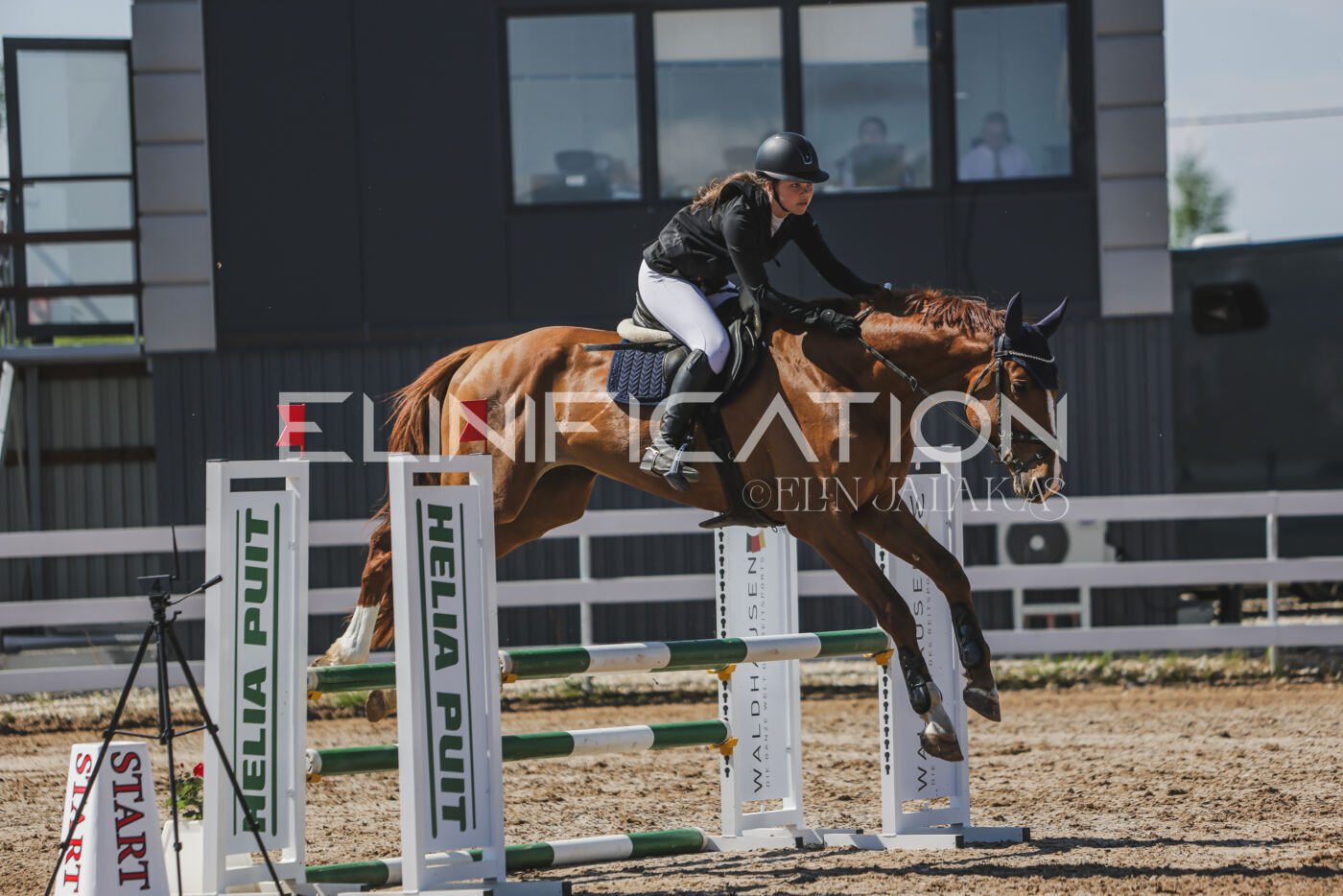 Gramina_Kevad_2026_90_672
