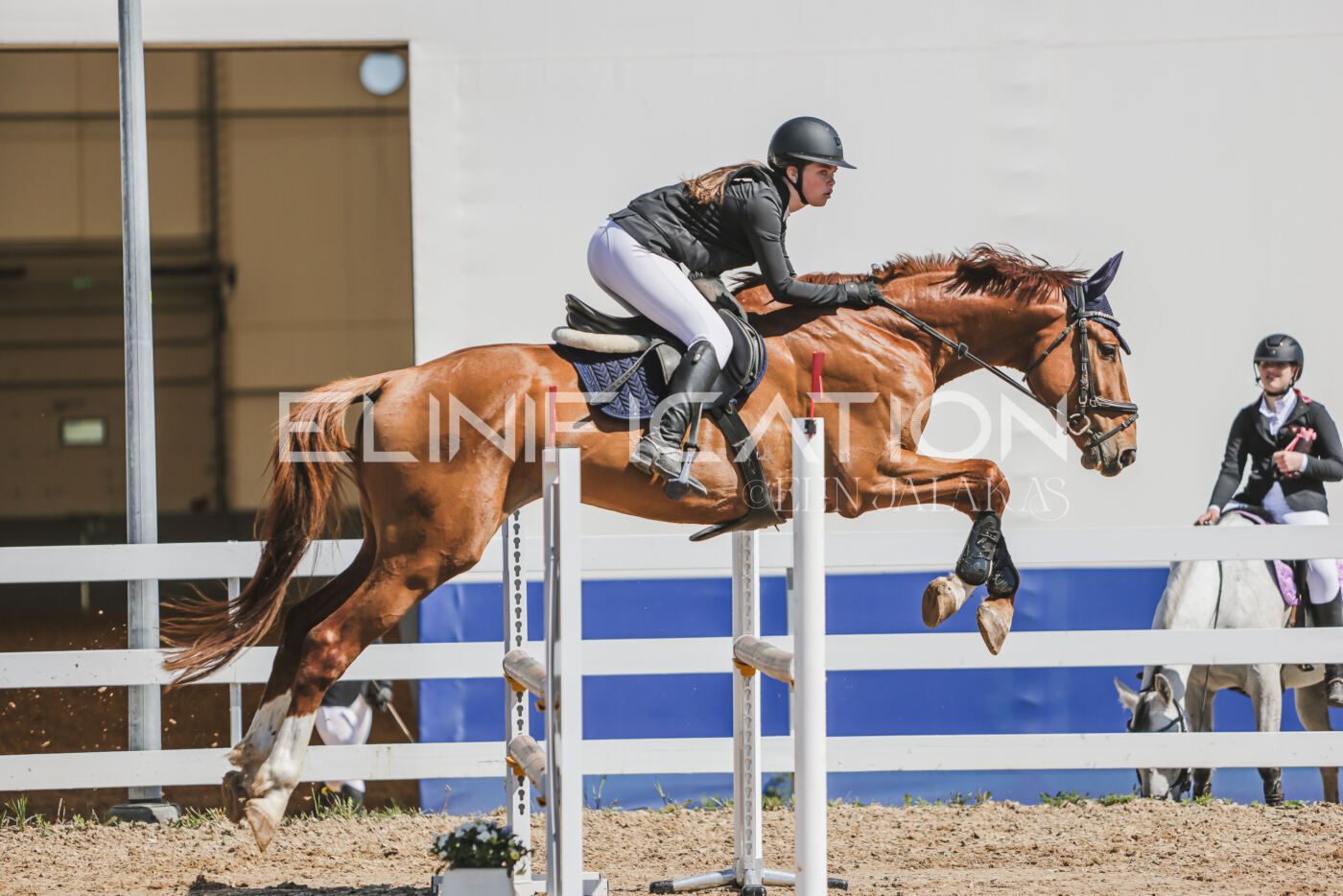 Gramina_Kevad_2026_90_675