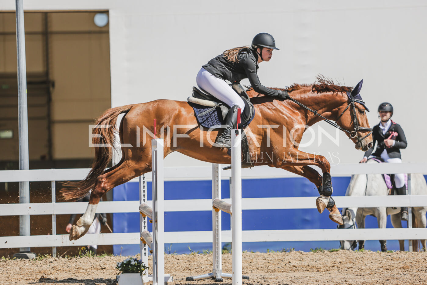 Gramina_Kevad_2026_90_676