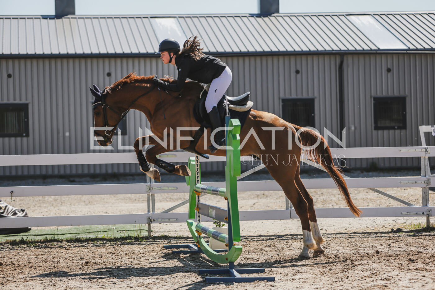 Gramina_Kevad_2026_90_677