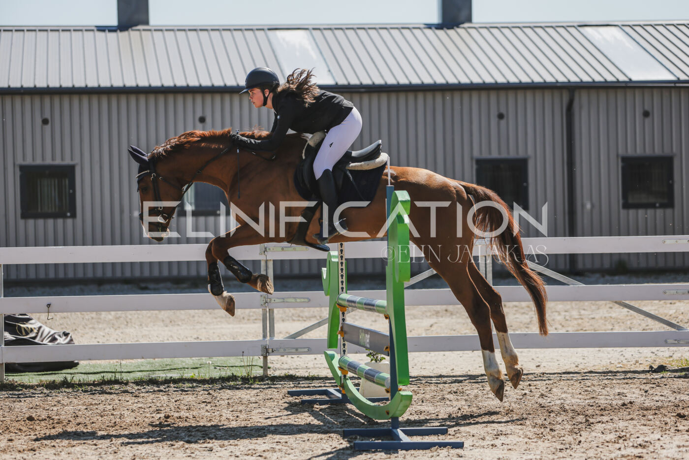 Gramina_Kevad_2026_90_678
