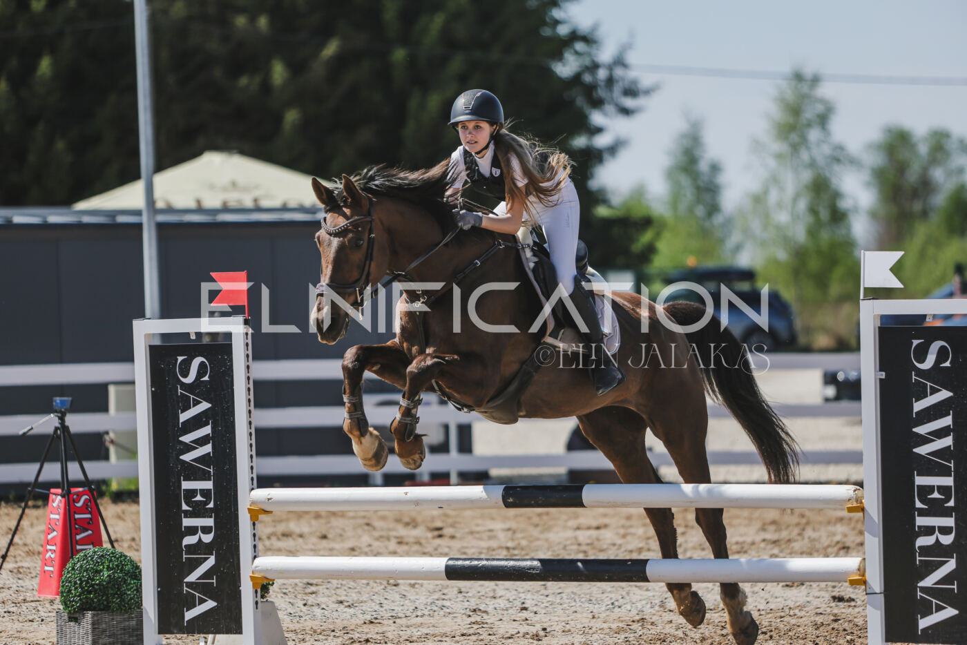 Gramina_Kevad_2026_90_680