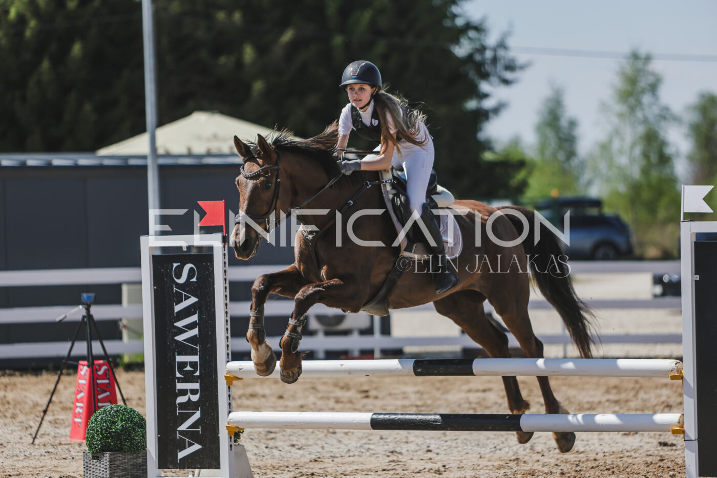 Gramina_Kevad_2026_90_681