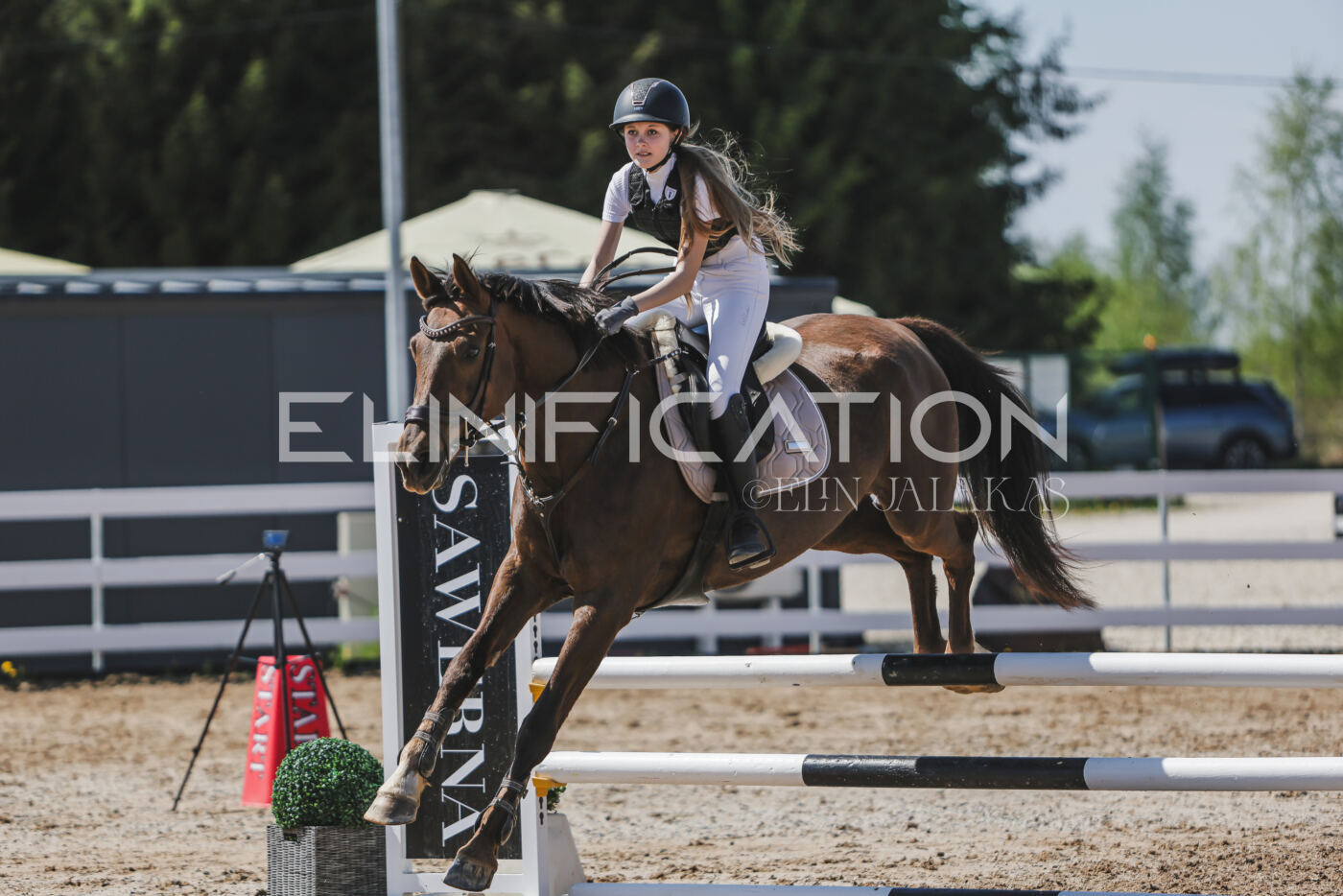Gramina_Kevad_2026_90_682