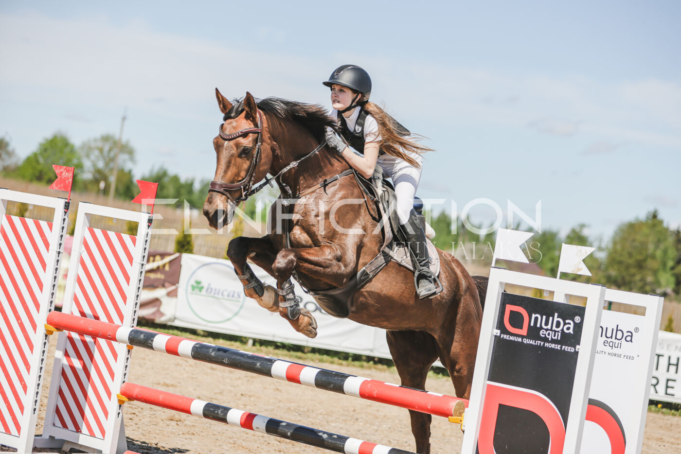 Gramina_Kevad_2026_90_683