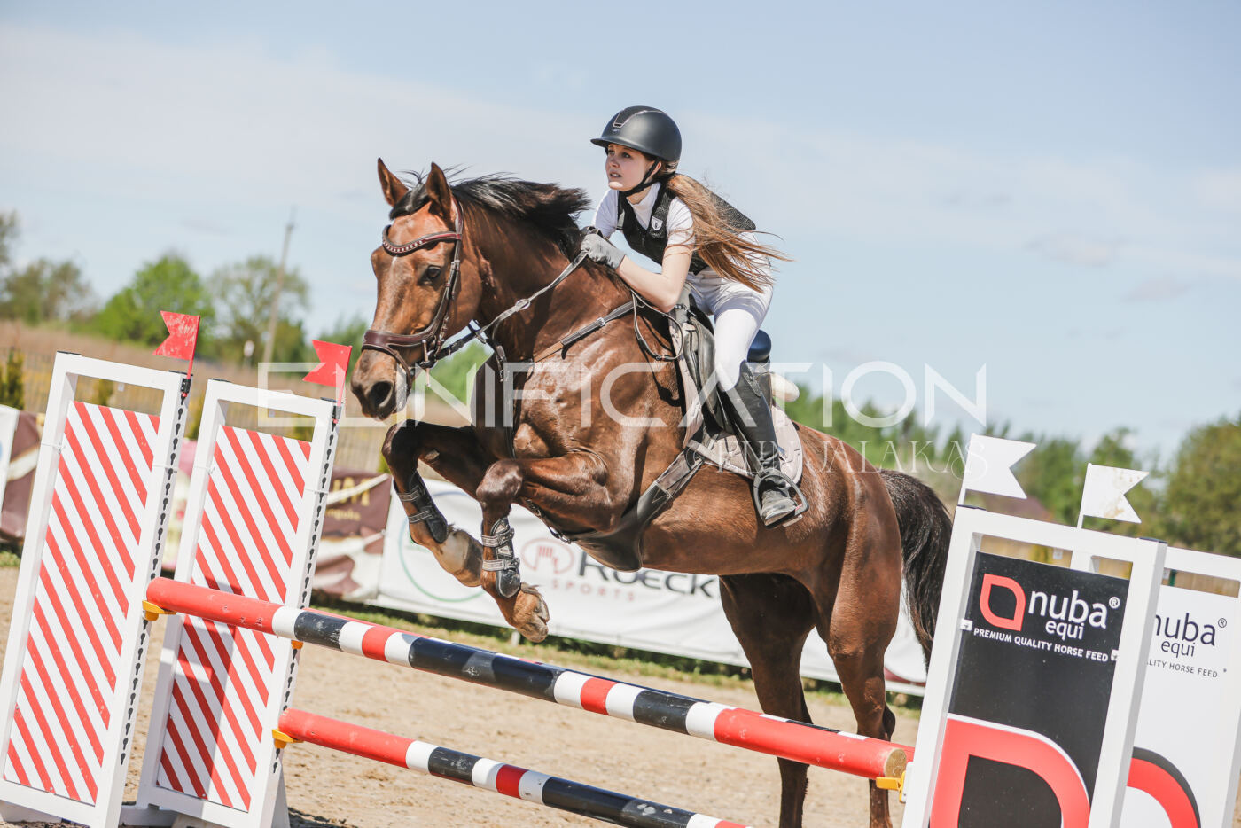 Gramina_Kevad_2026_90_684