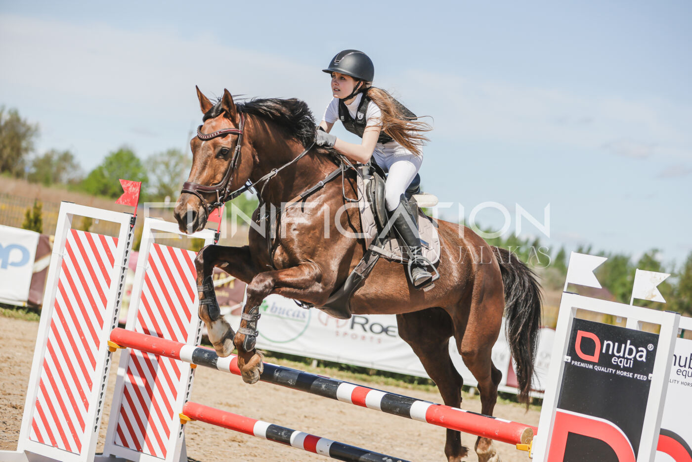 Gramina_Kevad_2026_90_685