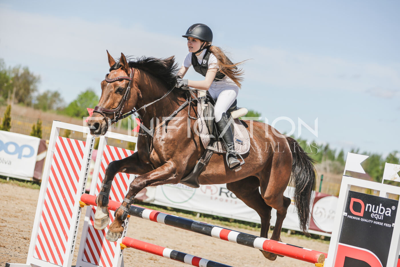 Gramina_Kevad_2026_90_686