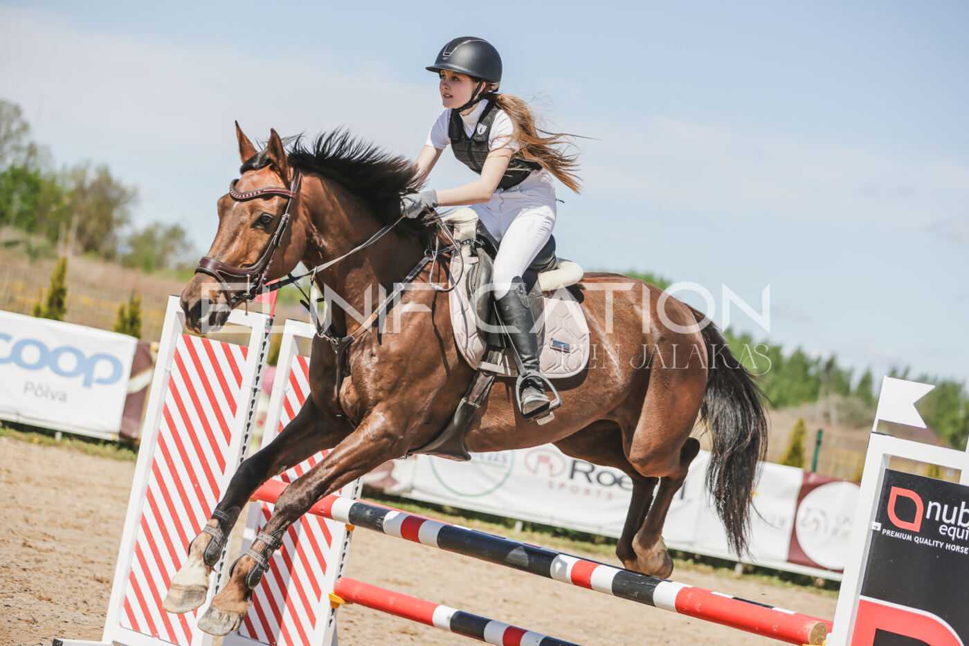 Gramina_Kevad_2026_90_687
