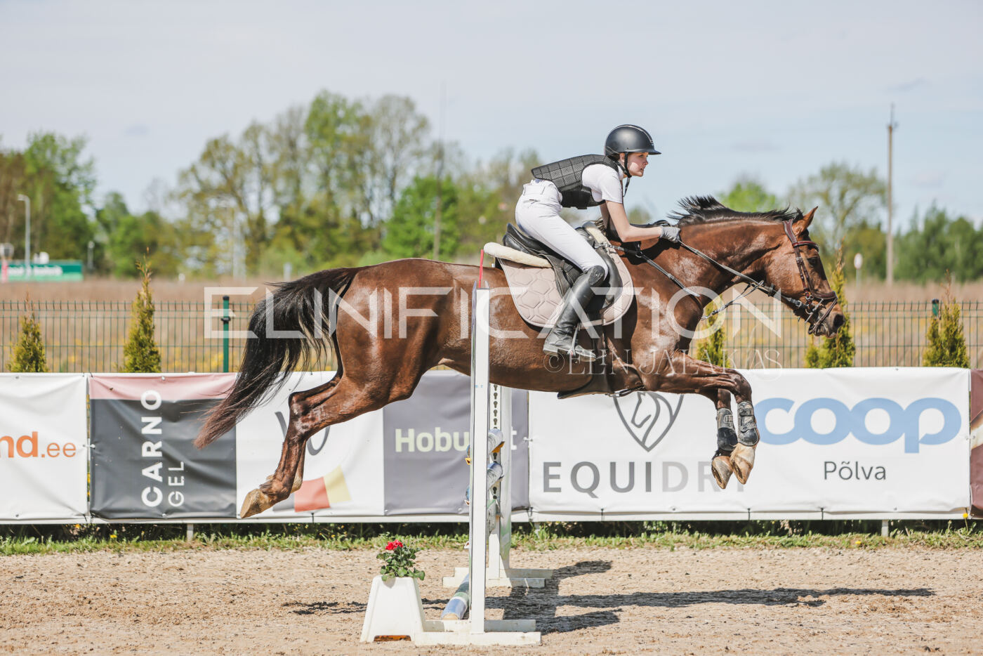 Gramina_Kevad_2026_90_693