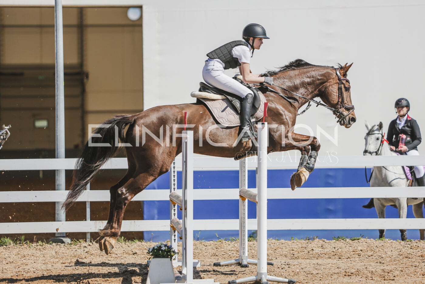 Gramina_Kevad_2026_90_694