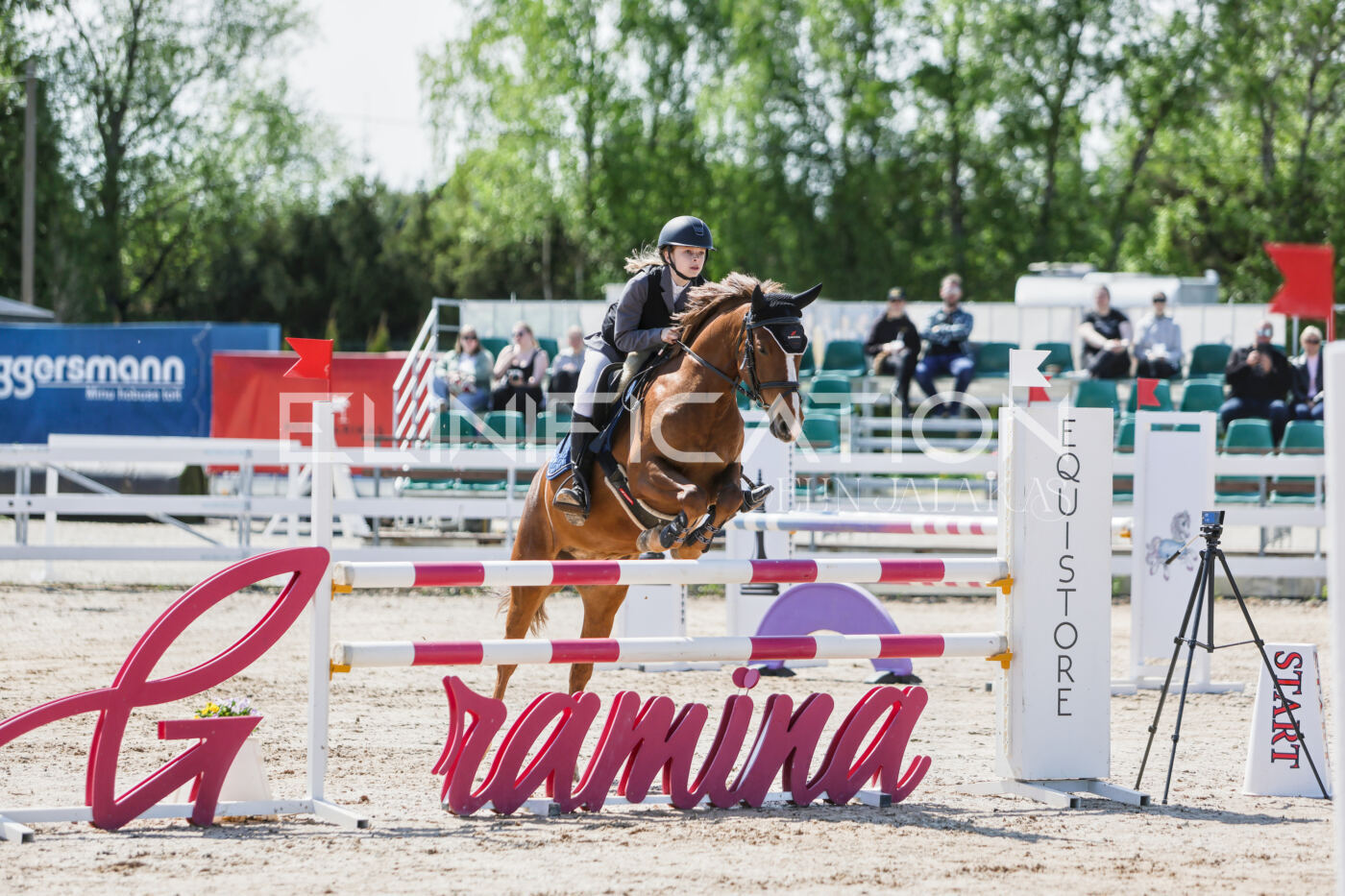 Gramina_Kevad_2026_100_001