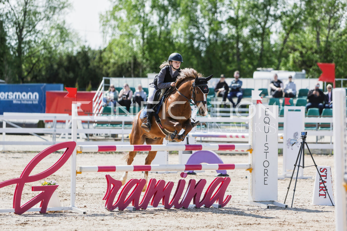 Gramina_Kevad_2026_100_002