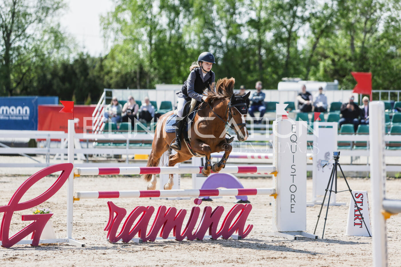 Gramina_Kevad_2026_100_004
