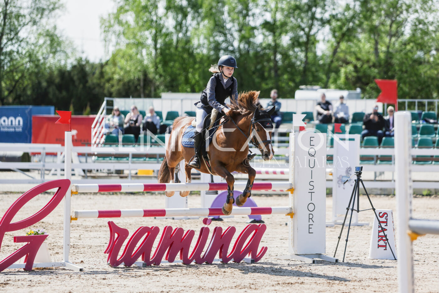 Gramina_Kevad_2026_100_005