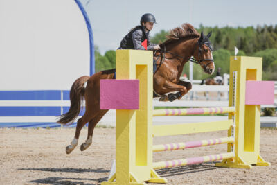 Gramina_Kevad_2026_100_006