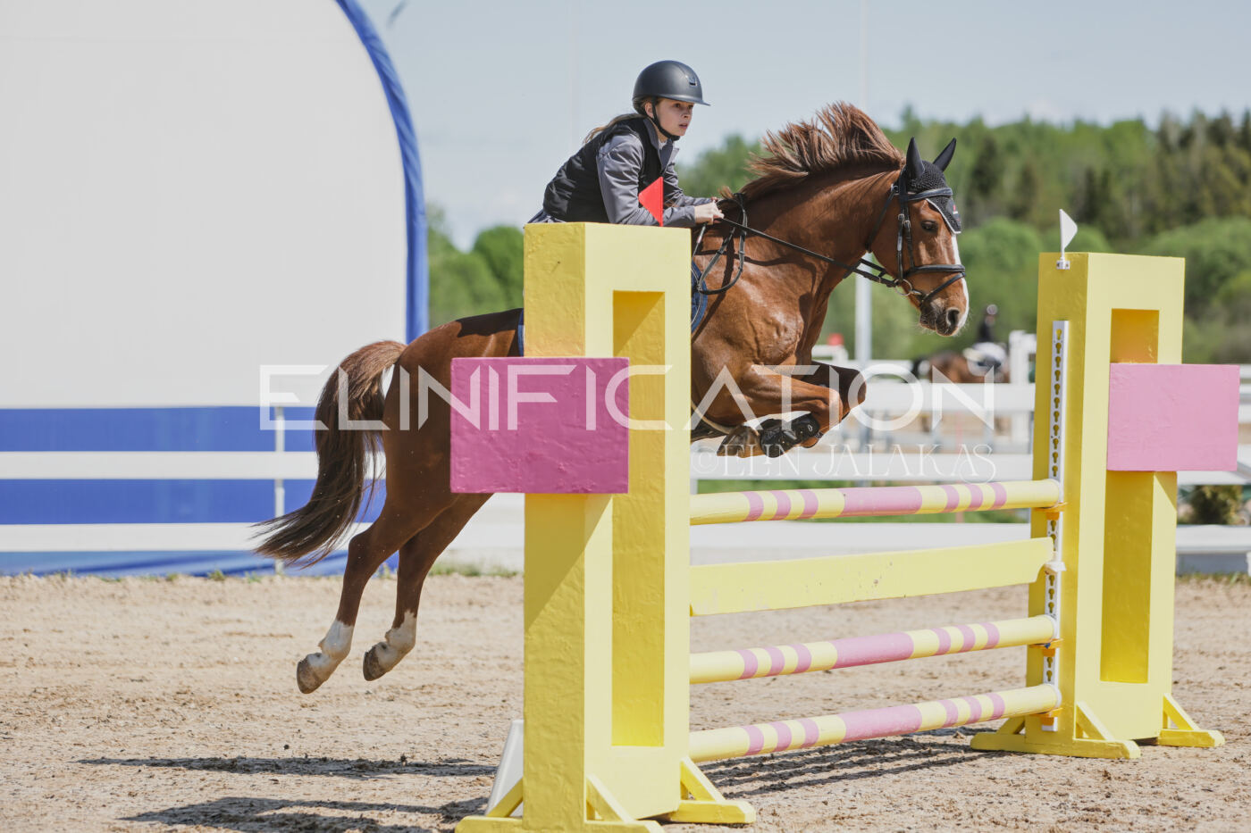 Gramina_Kevad_2026_100_006