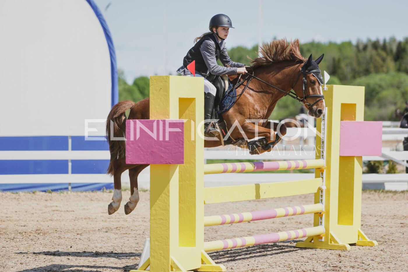 Gramina_Kevad_2026_100_007