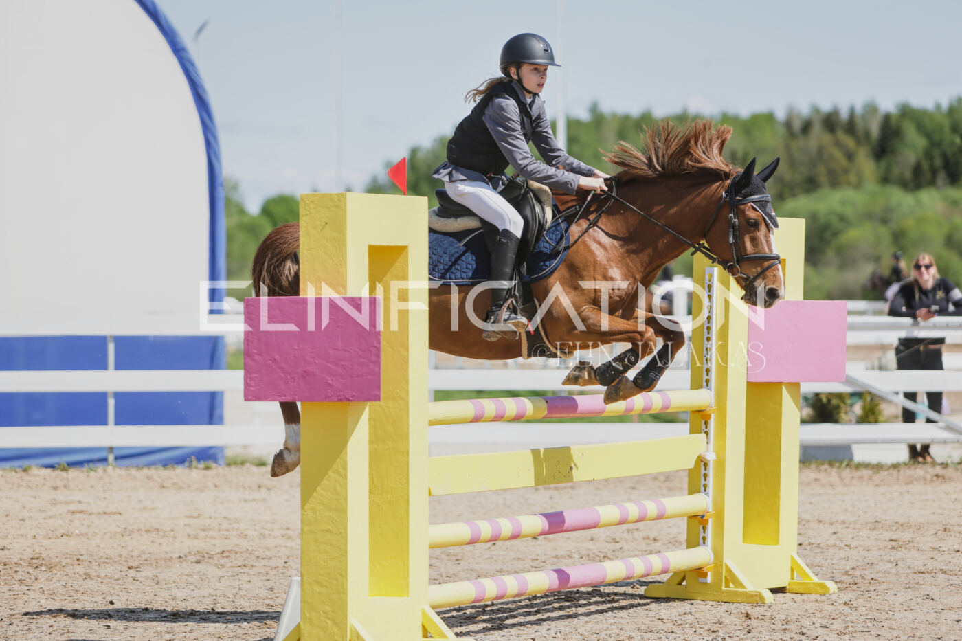 Gramina_Kevad_2026_100_008