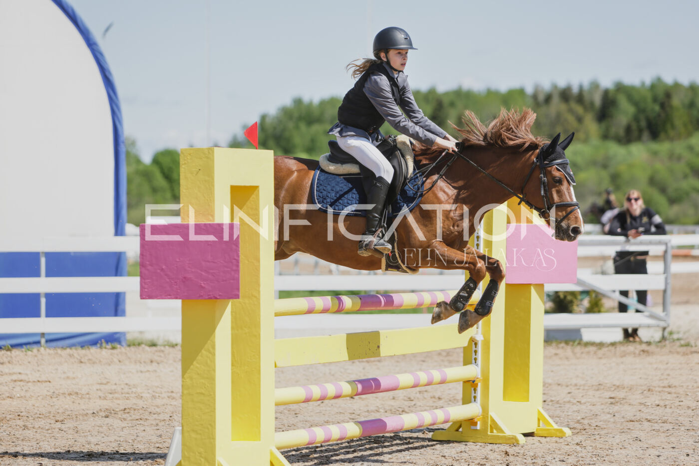 Gramina_Kevad_2026_100_009