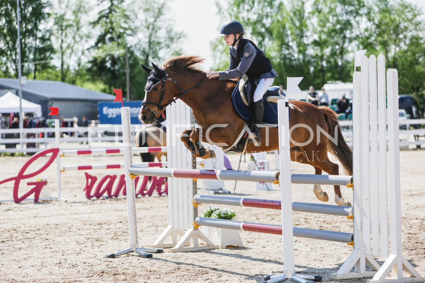 Gramina_Kevad_2026_100_010
