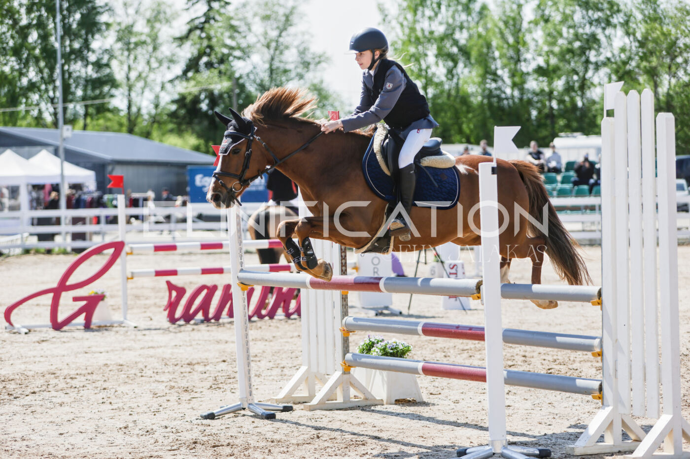 Gramina_Kevad_2026_100_011