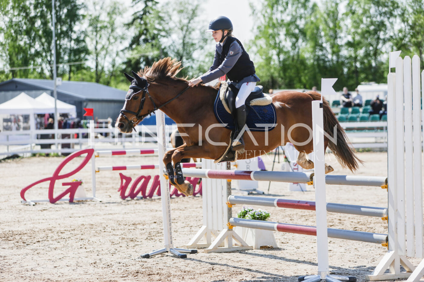 Gramina_Kevad_2026_100_012