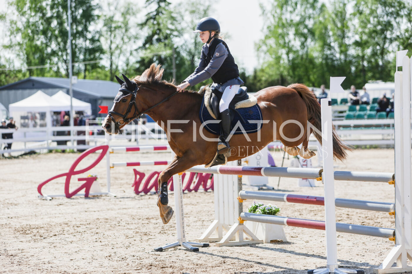 Gramina_Kevad_2026_100_013