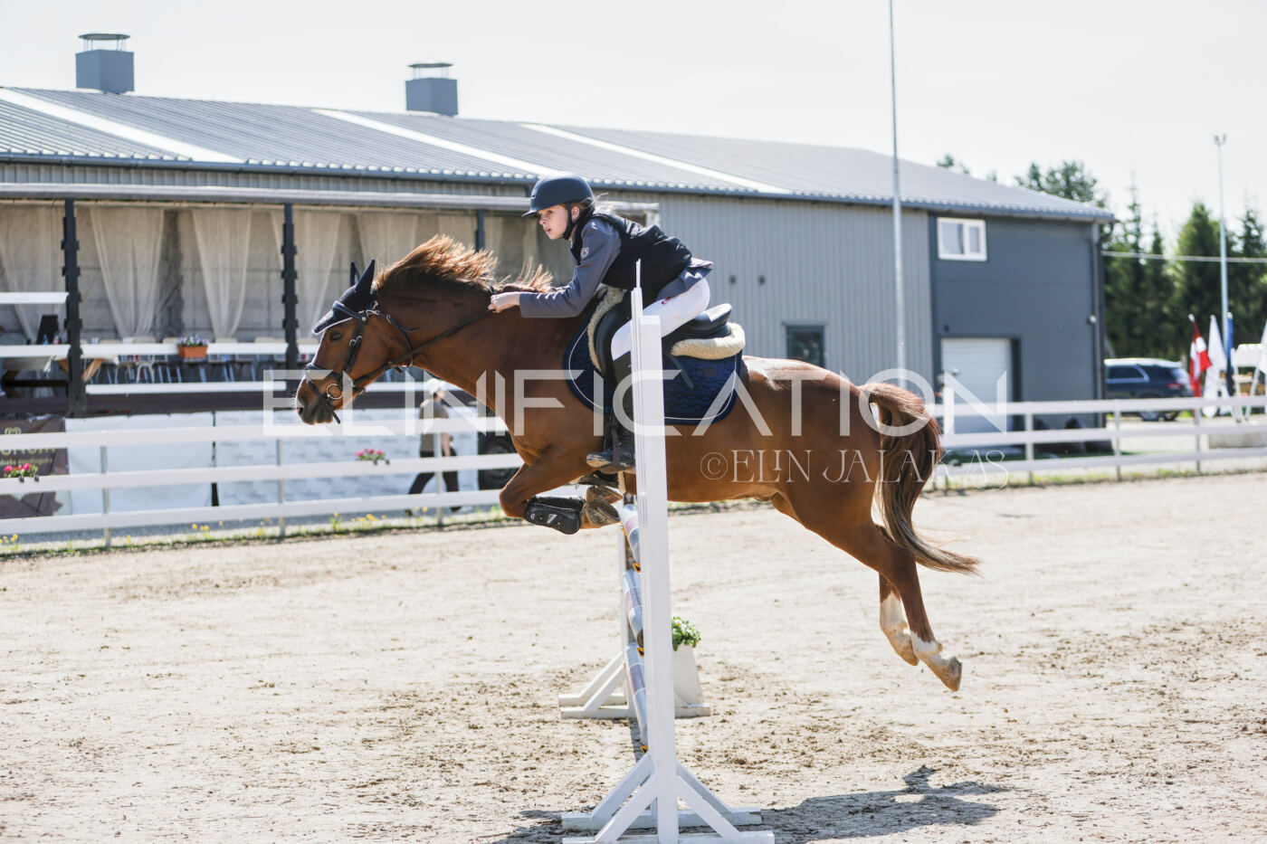 Gramina_Kevad_2026_100_014