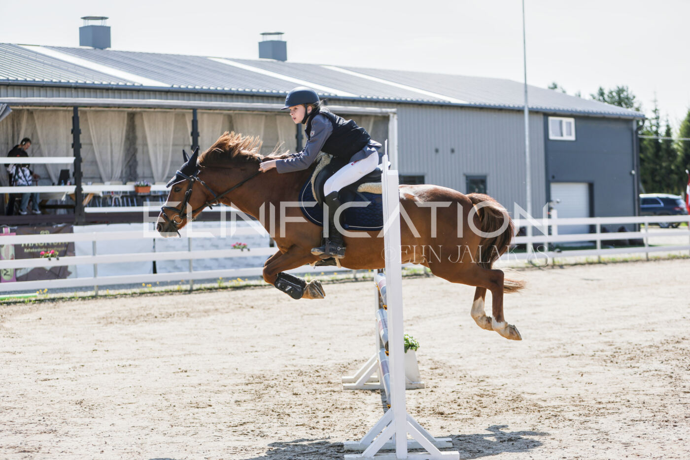 Gramina_Kevad_2026_100_015