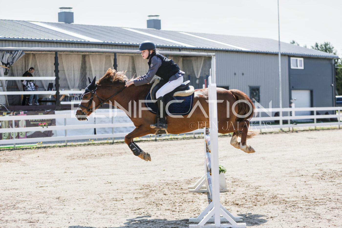 Gramina_Kevad_2026_100_016