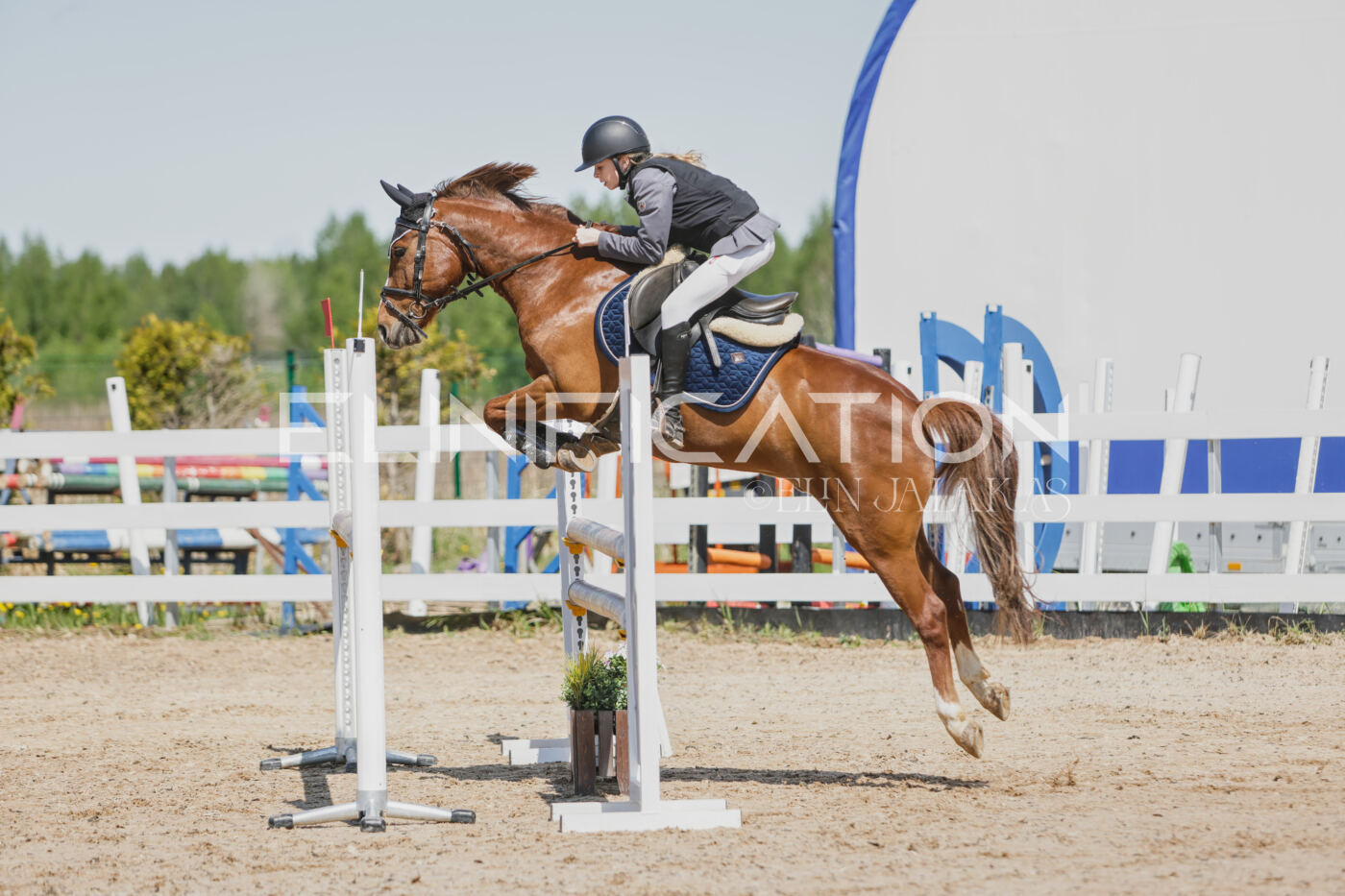 Gramina_Kevad_2026_100_017