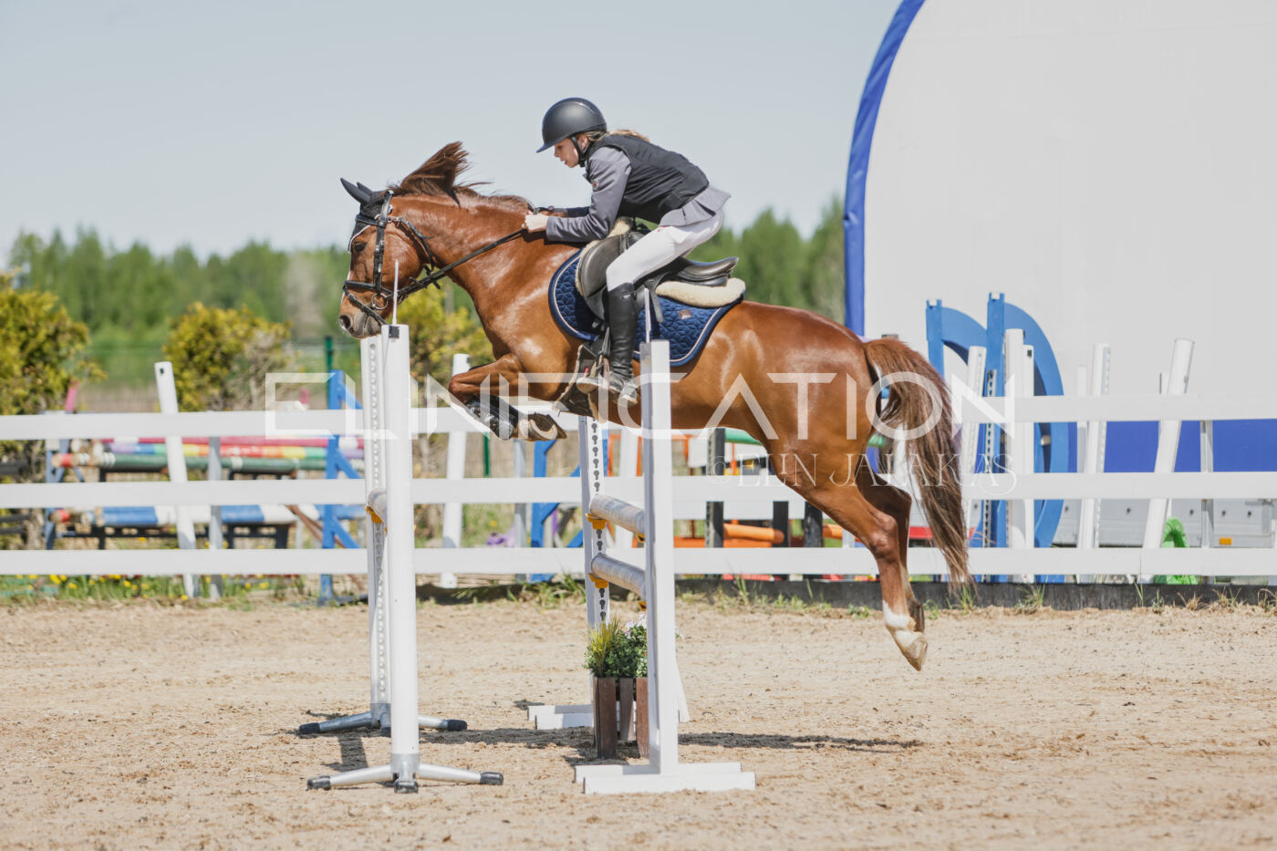 Gramina_Kevad_2026_100_018