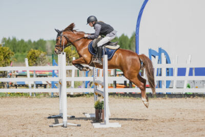 Gramina_Kevad_2026_100_018