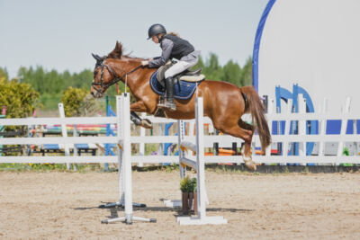 Gramina_Kevad_2026_100_019