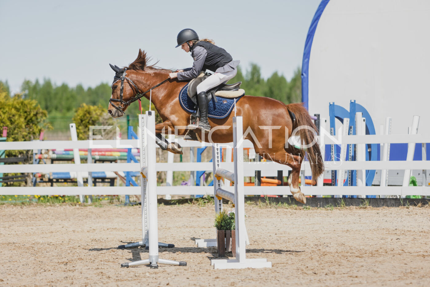 Gramina_Kevad_2026_100_019