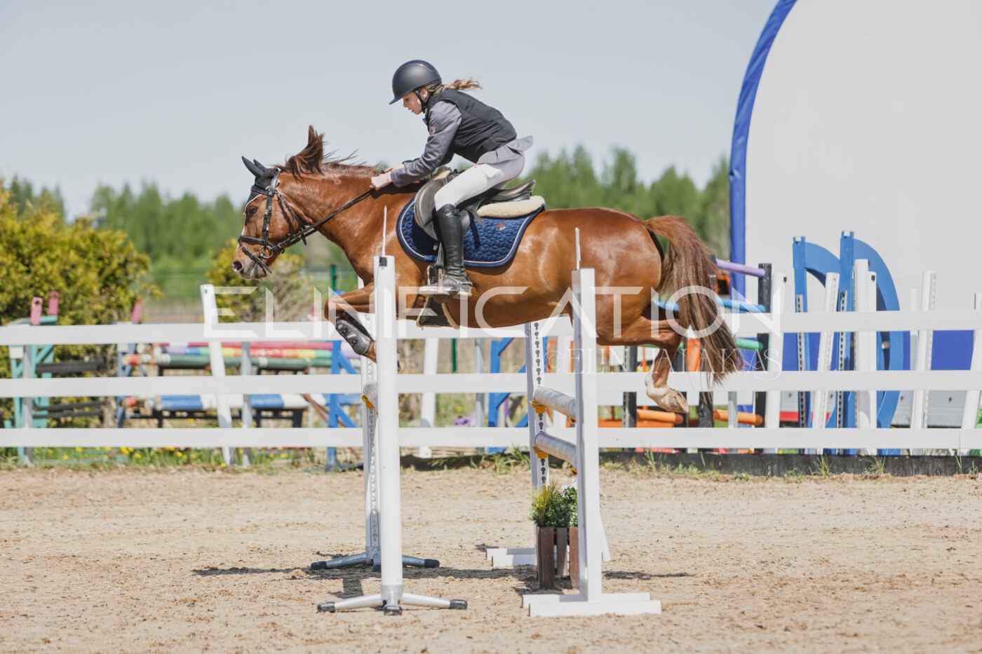 Gramina_Kevad_2026_100_020