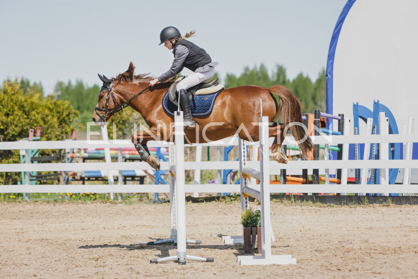 Gramina_Kevad_2026_100_021
