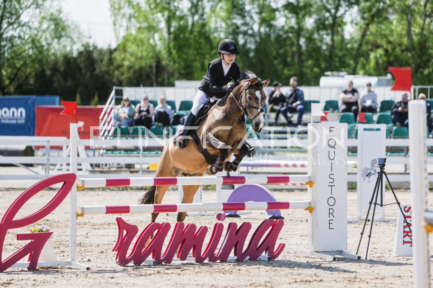 Gramina_Kevad_2026_100_022