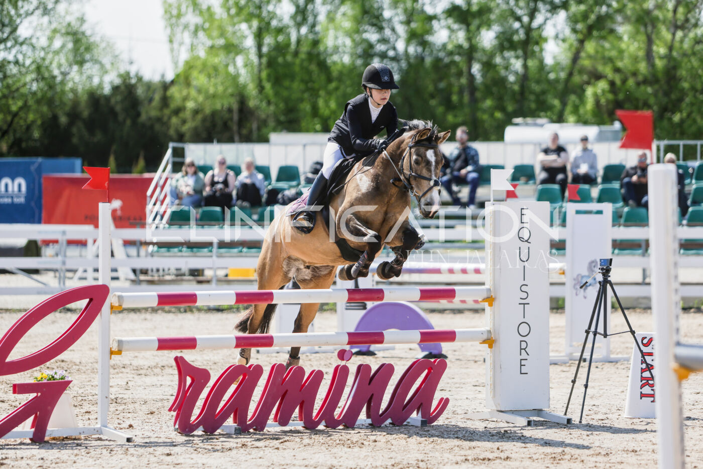 Gramina_Kevad_2026_100_023