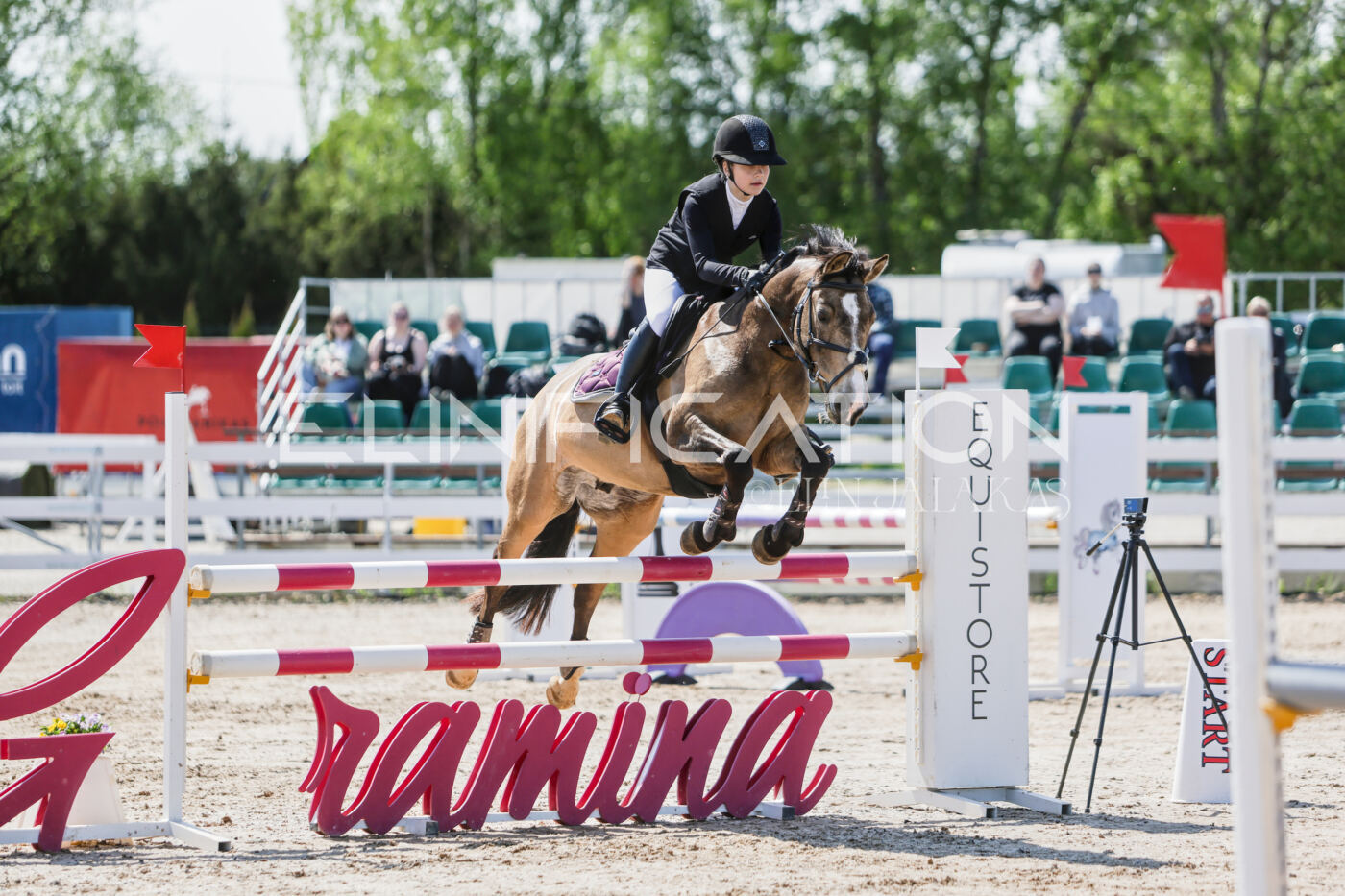 Gramina_Kevad_2026_100_024