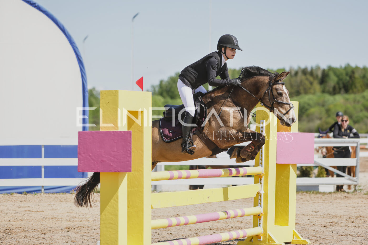 Gramina_Kevad_2026_100_027