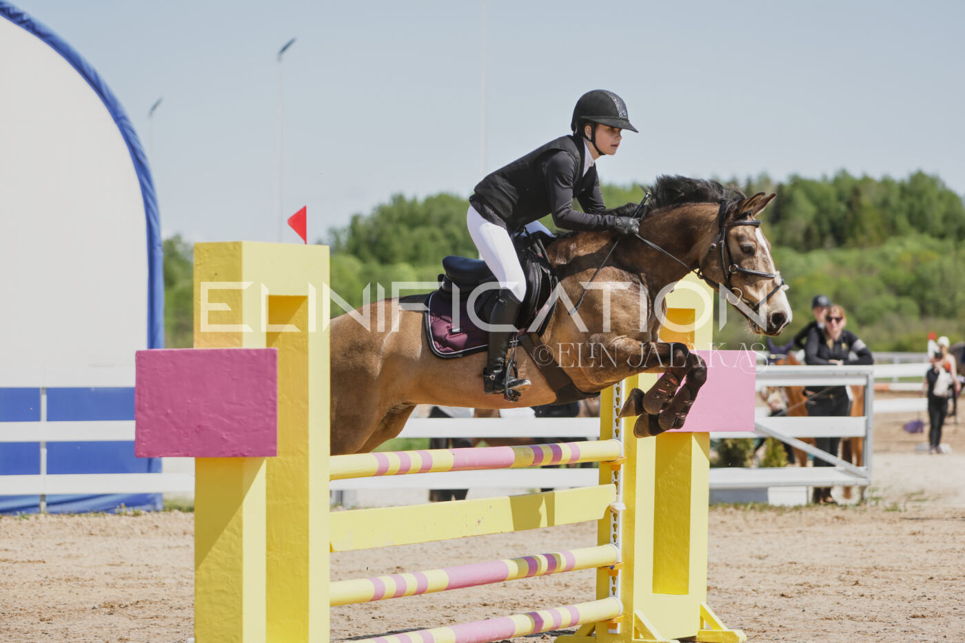 Gramina_Kevad_2026_100_028