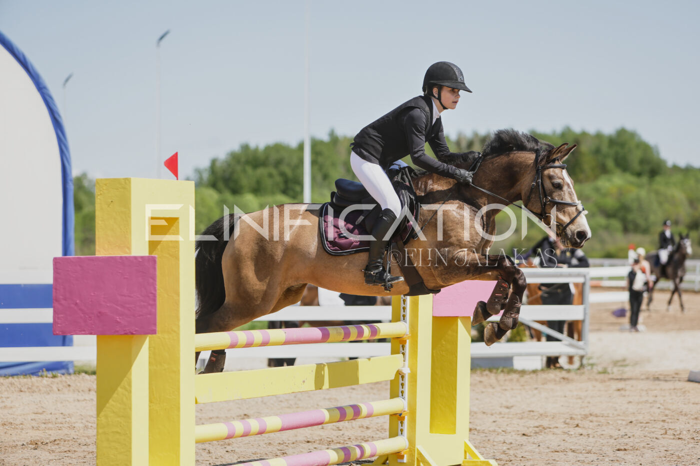 Gramina_Kevad_2026_100_029