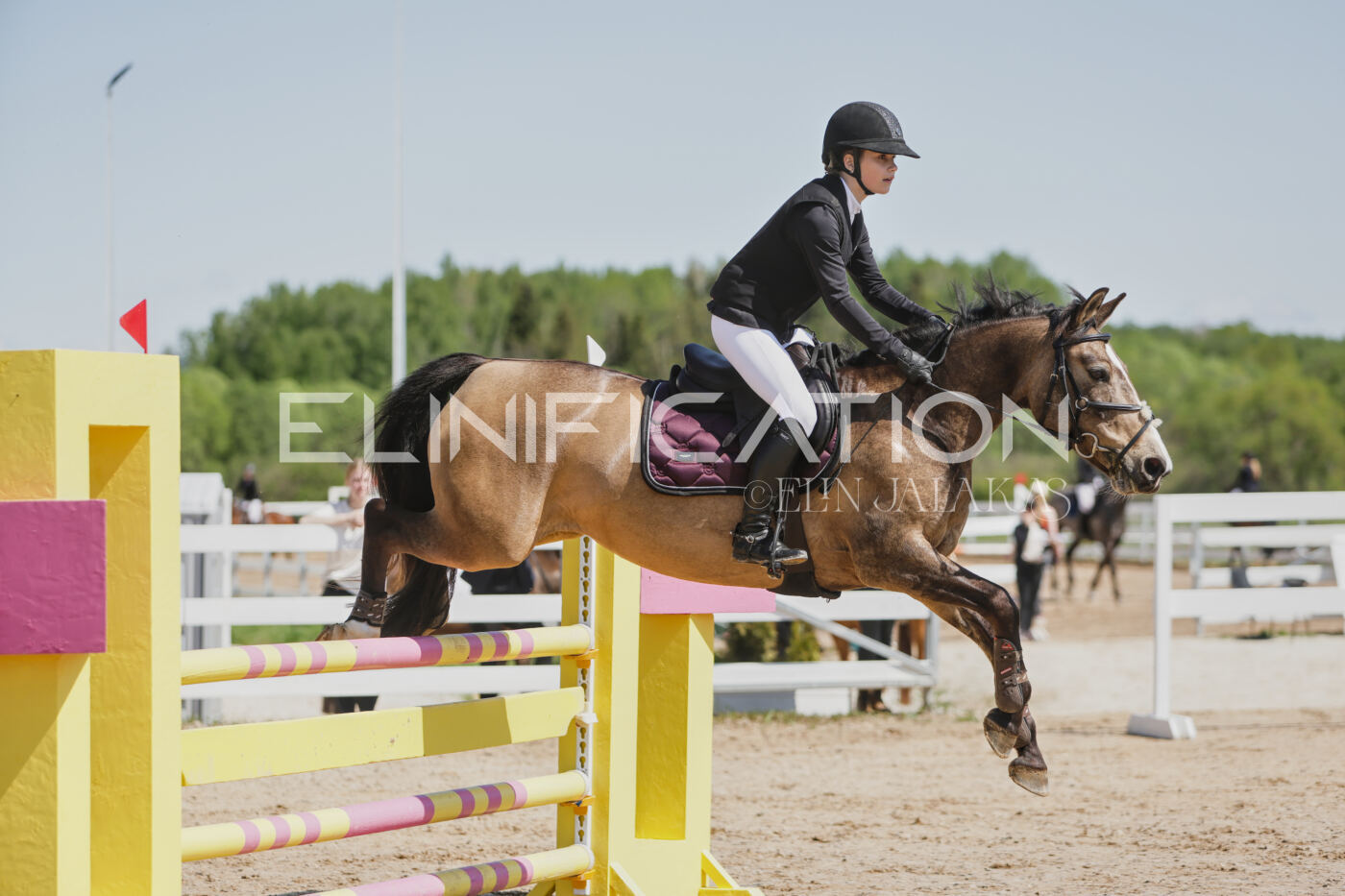 Gramina_Kevad_2026_100_030