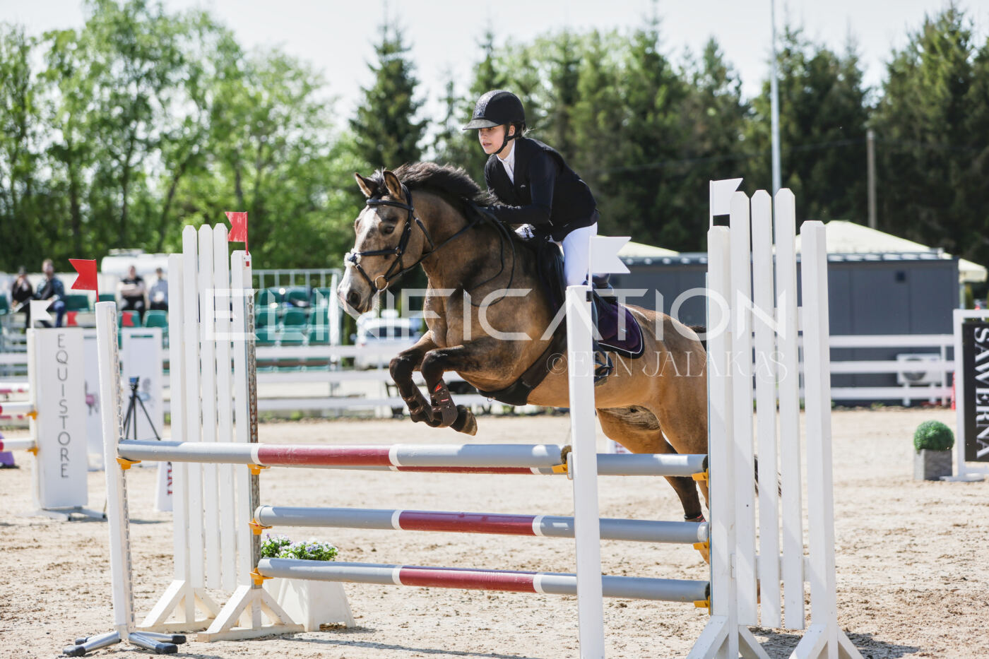 Gramina_Kevad_2026_100_031
